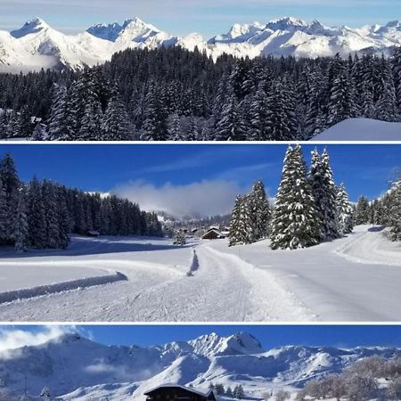 Studio Cabine Praz De Lys Taninges Exteriör bild