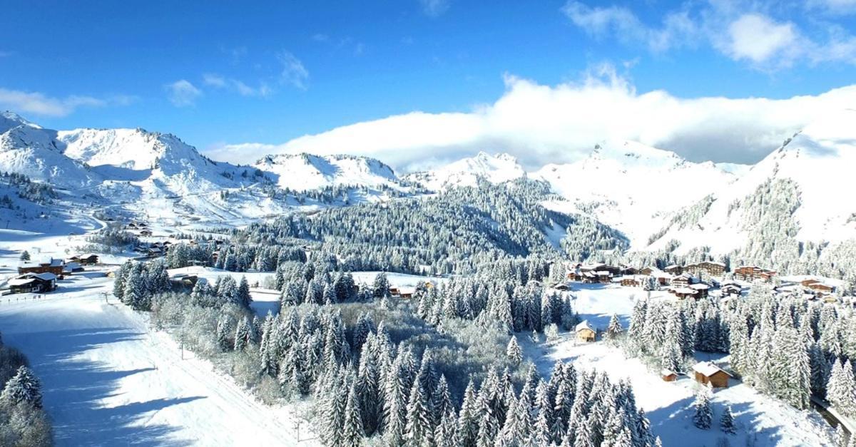 Studio Cabine Praz De Lys Taninges Exteriör bild