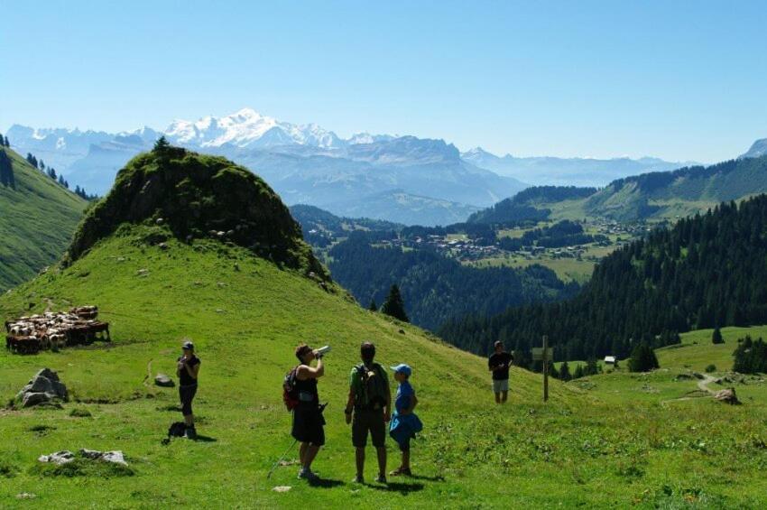 Studio Cabine Praz De Lys Taninges Exteriör bild