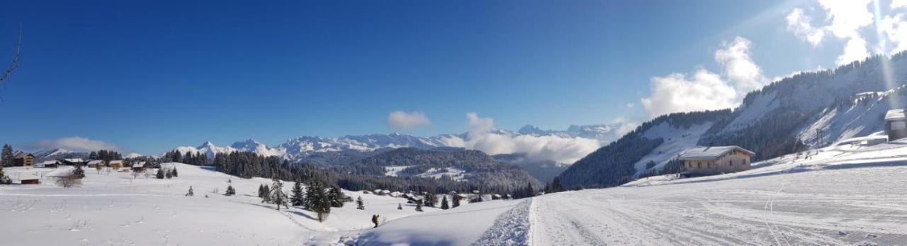 Studio Cabine Praz De Lys Taninges Exteriör bild