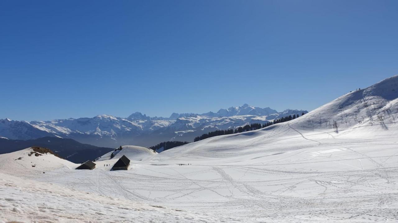 Studio Cabine Praz De Lys Taninges Exteriör bild