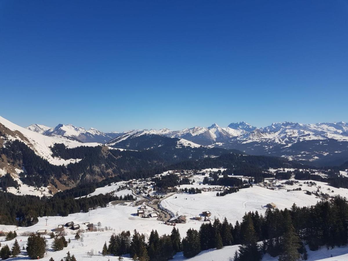 Studio Cabine Praz De Lys Taninges Exteriör bild